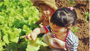 幼儿劳动教育的实践探索